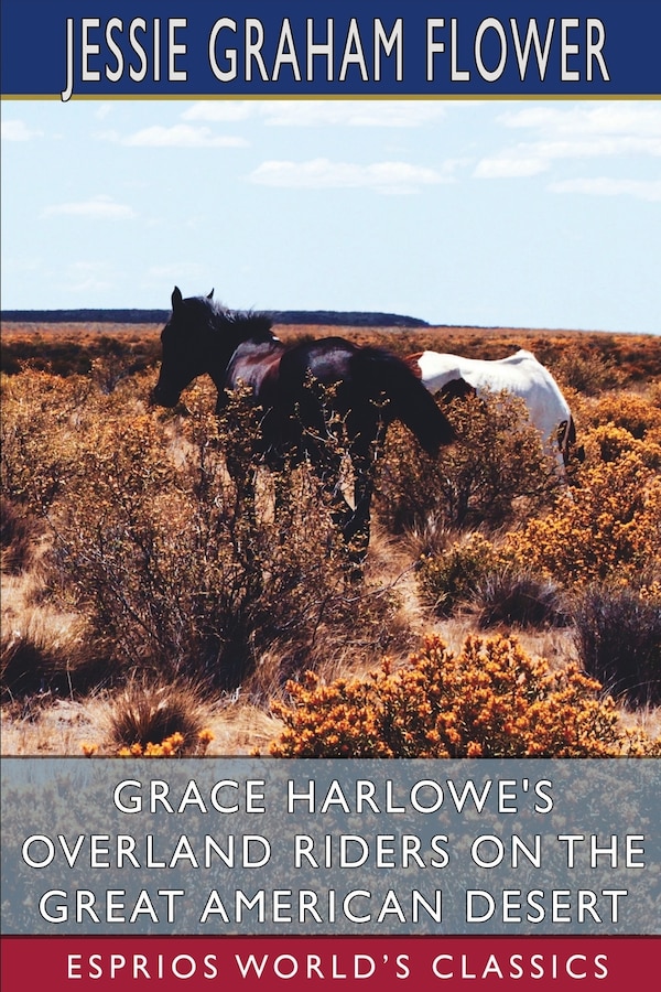 Grace Harlowe's Overland Riders on the Great American Desert (Esprios Classics) by Jessie Graham Flower, Paperback | Indigo Chapters