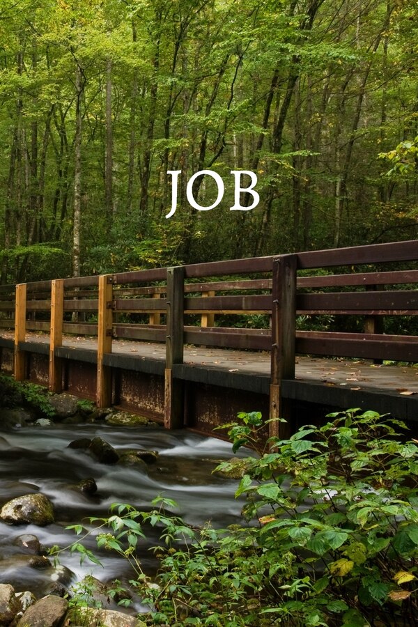 Job Bible Journal by Shasta Medrano, Paperback | Indigo Chapters