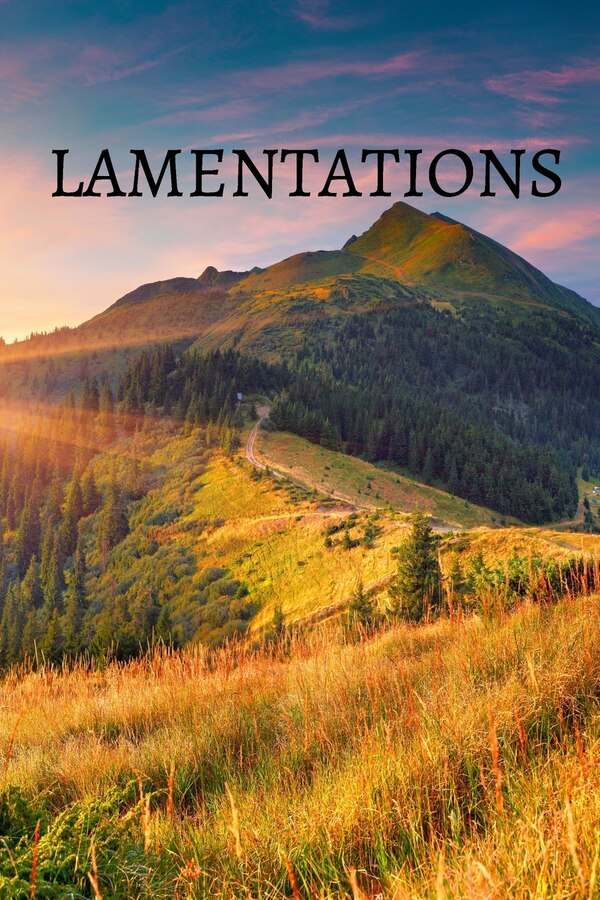 Lamentations Bible Journal by Shasta Medrano, Paperback | Indigo Chapters