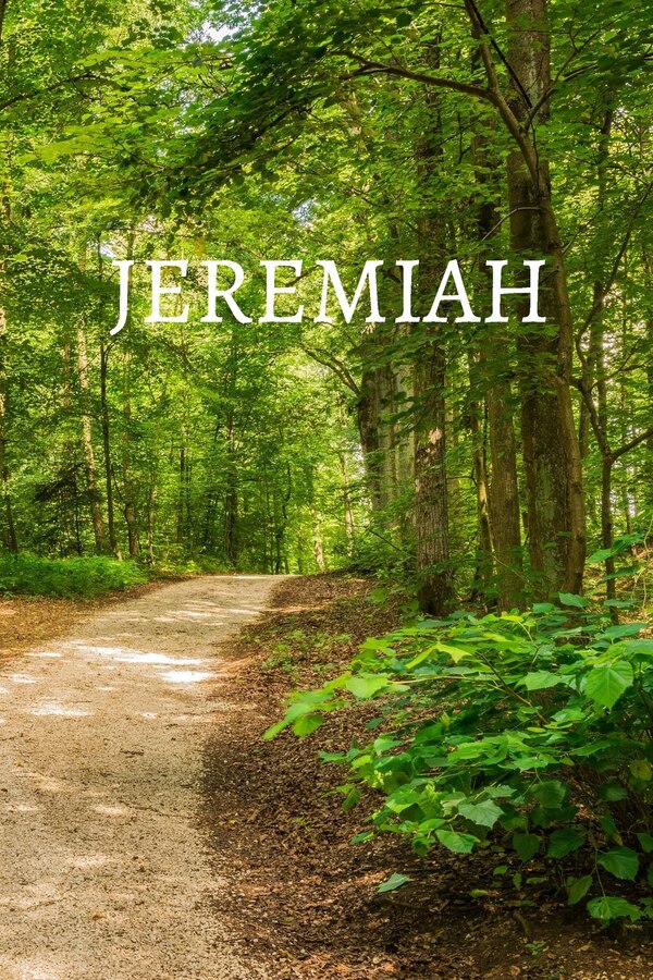 Jeremiah Bible Journal by Shasta Medrano, Paperback | Indigo Chapters