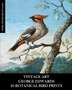Vintage Art by Vintage Revisited Press, Paperback | Indigo Chapters