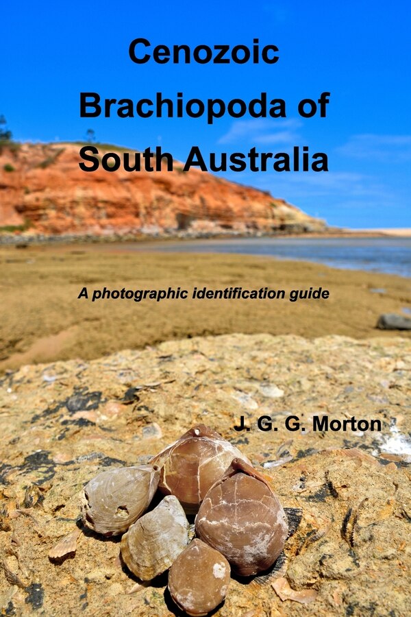 Cenozoic Brachiopoda of South Australia by John G G Morton, Paperback | Indigo Chapters