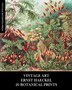 Vintage Art by Vintage Revisited Press, Paperback | Indigo Chapters