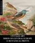Vintage Art by Vintage Revisited Press, Paperback | Indigo Chapters