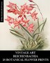 Vintage Art by Vintage Revisited Press, Paperback | Indigo Chapters