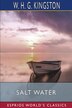 Salt Water (Esprios Classics) by W H G Kingston, Paperback | Indigo Chapters