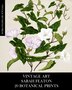 Vintage Art by Vintage Revisited Press, Paperback | Indigo Chapters