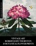 Vintage Art by Vintage Revisited Press, Paperback | Indigo Chapters