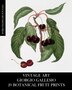 Vintage Art by Vintage Revisited Press, Paperback | Indigo Chapters