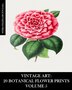 Vintage Art by Vintage Revisited Press, Paperback | Indigo Chapters