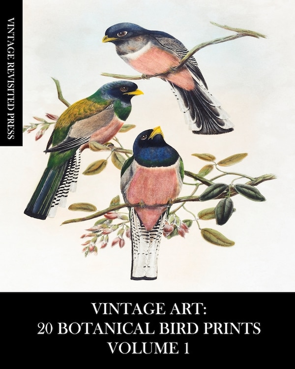 Vintage Art by Vintage Revisited Press, Paperback | Indigo Chapters