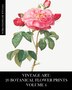 Vintage Art by Vintage Revisited Press, Paperback | Indigo Chapters