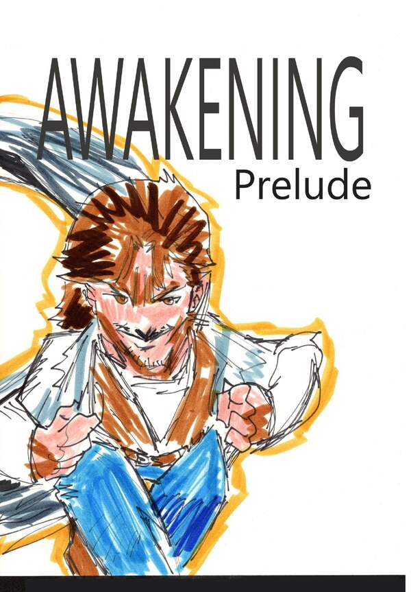 Awakening by José L F Rodrigues, Hardcover | Indigo Chapters