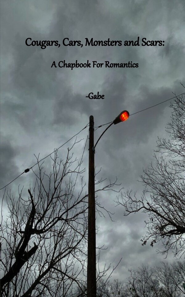 Cougars Cars Monsters and Scars by gabe gabe, Paperback | Indigo Chapters
