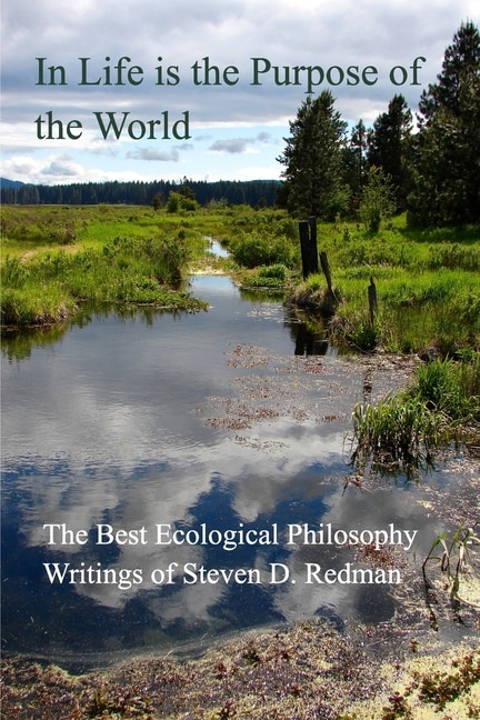In Life is the Purpose of the World by Steven D Redman, Paperback | Indigo Chapters