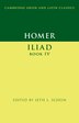 Homer: Iliad Book IV by Seth L. Schein, Hardcover | Indigo Chapters