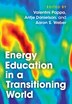 Energy Education in a Transitioning World by Valentini Pappa, Hardcover | Indigo Chapters