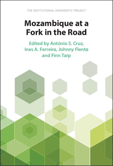 Mozambique at a Fork in the Road by António S. Cruz, Hardcover | Indigo Chapters