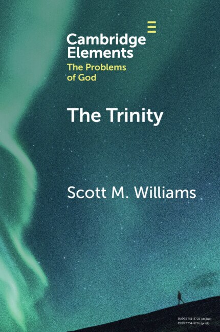 The Trinity by Scott M. Williams, Paperback | Indigo Chapters