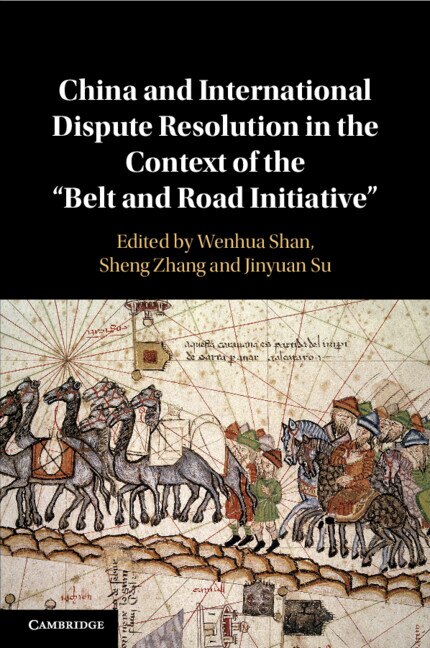 China and International Dispute Resolution in the Context of the ‘Belt and Road Initiative’ by Wenhua Shan, Paperback | Indigo Chapters