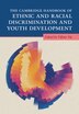 The Cambridge Handbook of Ethnic and Racial Discrimination and Youth Development by Tiffany Yip, Paperback | Indigo Chapters