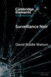 Surveillance Noir by David Riddle Watson, Paperback | Indigo Chapters