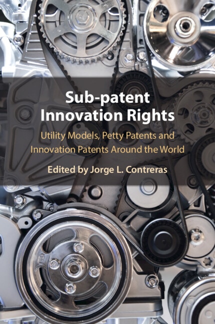 Sub-Patent Innovation Rights by Jorge L. Contreras, Paperback | Indigo Chapters