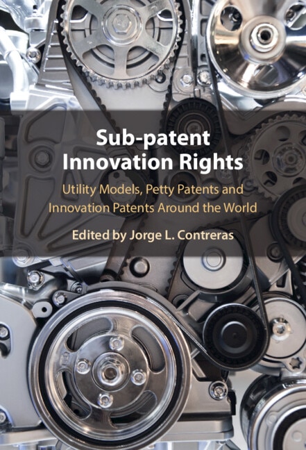 Sub-Patent Innovation Rights by Jorge L. Contreras, Hardcover | Indigo Chapters