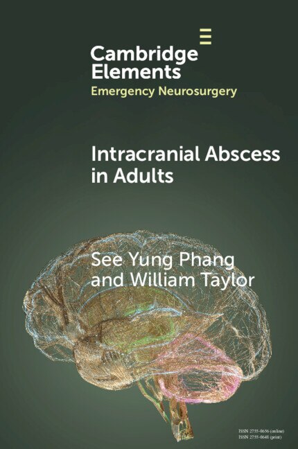 Intracranial Abscess in Adults by See Yung Phang, Paperback | Indigo Chapters
