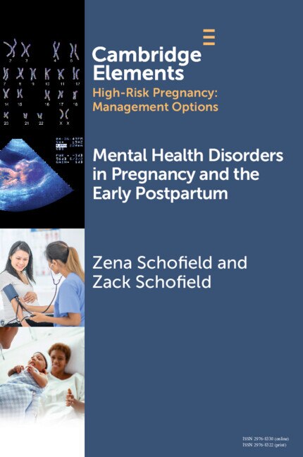 Mental Health Disorders in Pregnancy and the Early Postpartum by Zena Schofield, Paperback | Indigo Chapters