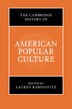 The Cambridge History of American Popular Culture by Lauren Rabinovitz, Hardcover | Indigo Chapters