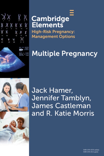 Multiple Pregnancy by Jack Hamer, Paperback | Indigo Chapters