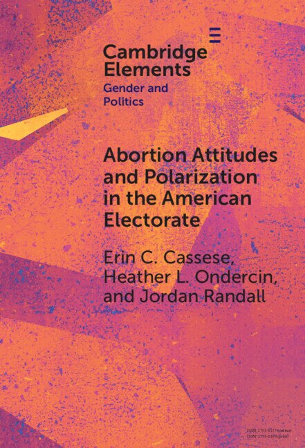 Abortion Attitudes and Polarization in the American Electorate by Erin C. Cassese, Hardcover | Indigo Chapters