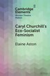 Caryl Churchill's Eco-Socialist Feminism by Elaine Aston, Paperback | Indigo Chapters