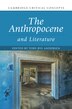 The Anthropocene and Literature by Tore Rye Andersen, Hardcover | Indigo Chapters