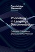 Phonology in Language Documentation by Gabriela Caballero, Paperback | Indigo Chapters