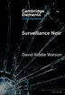 Surveillance Noir by David Riddle Watson, Hardcover | Indigo Chapters