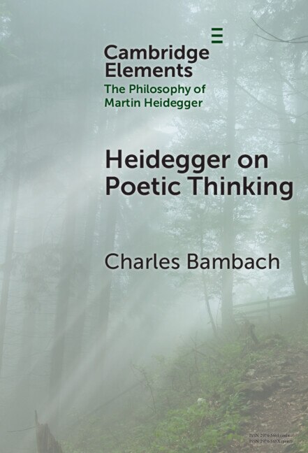 Heidegger on Poetic Thinking by Charles Bambach, Hardcover | Indigo Chapters