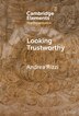 Looking Trustworthy by Andrea Rizzi, Hardcover | Indigo Chapters