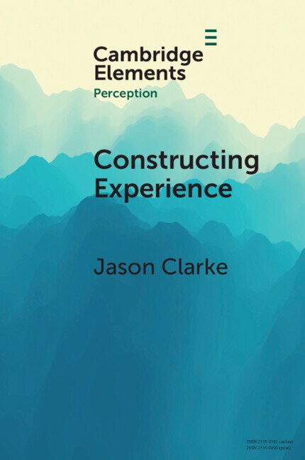 Constructing Experience by Jason Clarke