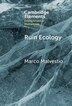 Ruin Ecology by Marco Malvestio, Hardcover | Indigo Chapters