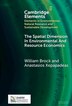 The Spatial Dimension In Environmental and Resource Economics by William Brock, Hardcover | Indigo Chapters