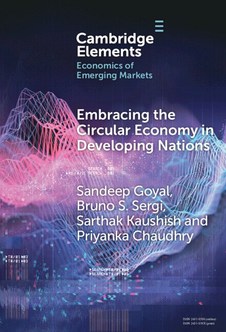 Embracing the Circular Economy in Developing Nations by Sandeep Goyal, Hardcover | Indigo Chapters