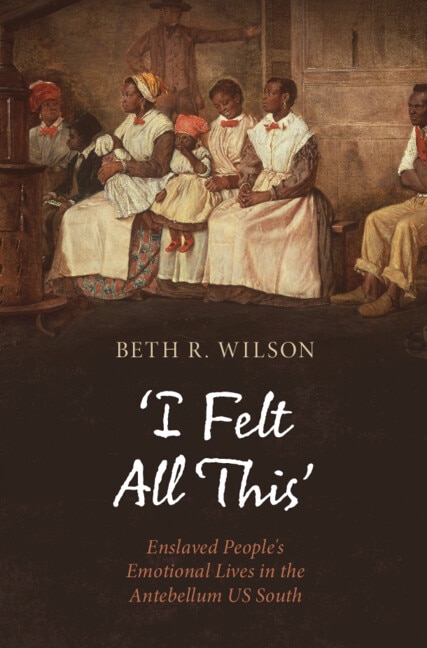 ‘I Felt All This’ by Beth R. Wilson, Hardcover | Indigo Chapters