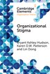 Organizational Stigma by Bryant Ashley Hudson, Hardcover | Indigo Chapters