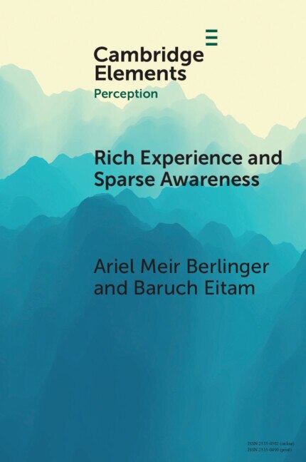 Rich Experience and Sparse Awareness by Ariel Meir Berlinger, Paperback | Indigo Chapters