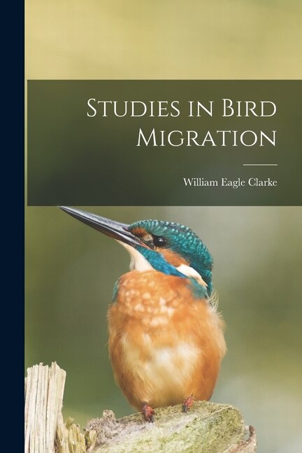 Studies in Bird Migration by William Eagle 1853-1938 Clarke, Paperback | Indigo Chapters