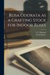 Rosa Odorata as a Grafting Stock for Indoor Roses by F F (Frederick Francis) 1 Weinard, Paperback | Indigo Chapters