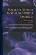 Butterflies and Moths of North America [microform] by Herman 1836-1901 Strecker, Paperback | Indigo Chapters