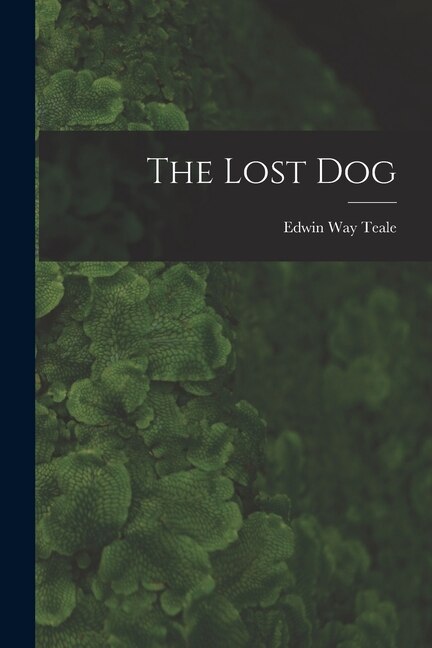 The Lost Dog by Edwin Way 1899-1980 Teale, Paperback | Indigo Chapters